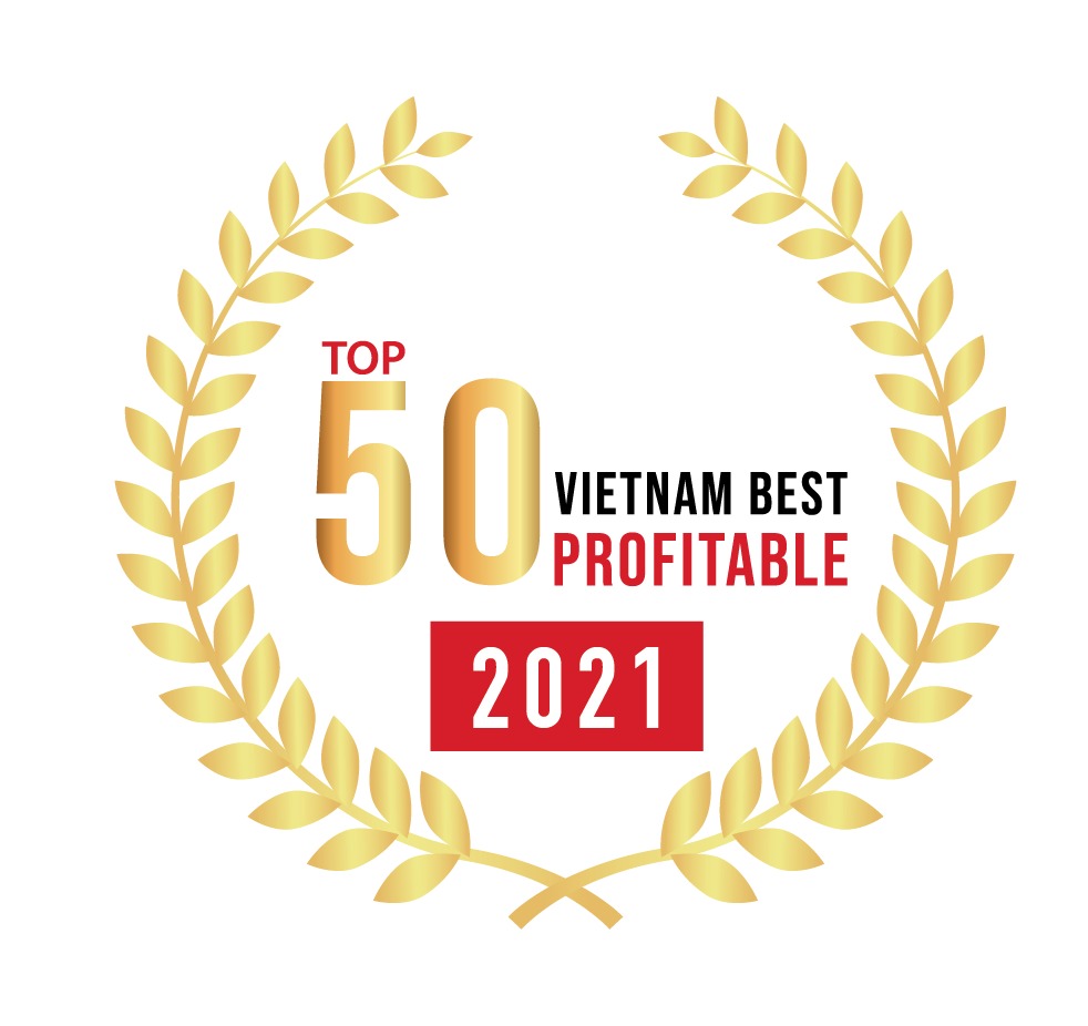 Top 50 Vietnam Best Profitable 2021